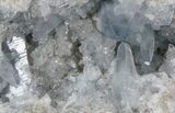 Celestine (Celestite) Geode - Icy Blue Crystals #37090-1